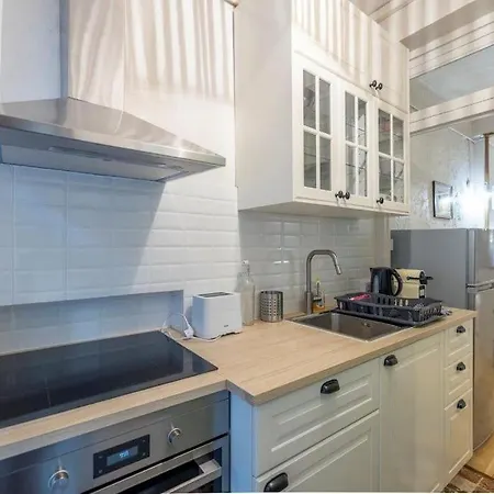 Cosy Dans Les Rues Pietonnes * グルノーブル