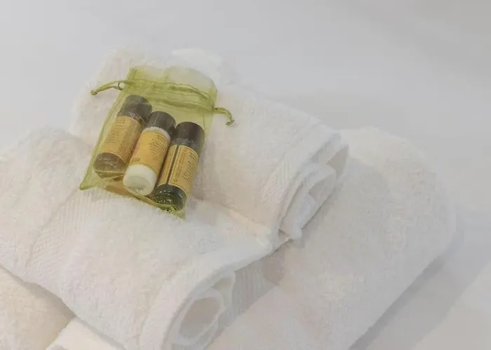 Cosy Dans Les Rues Pietonnes דירה גרנובל