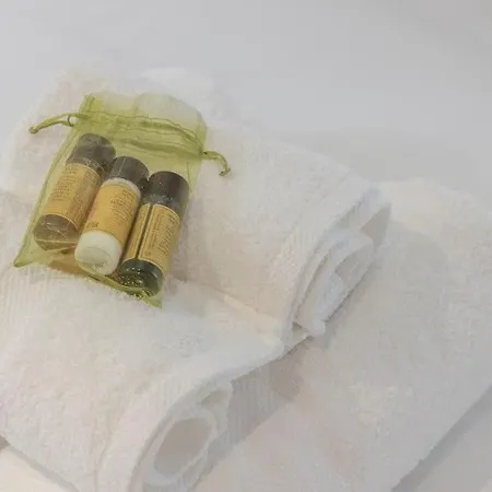 Cosy Dans Les Rues Piétonnes Appartement Grenoble