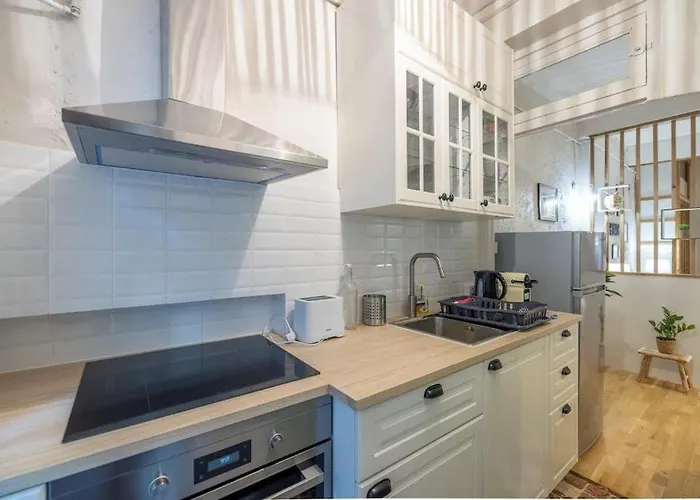 Cosy Dans Les Rues Pietonnes * グルノーブル